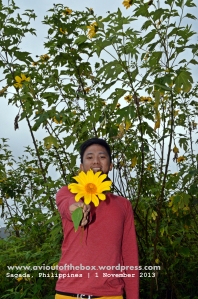 Sunflower for the Yellow Adventurer, from your ultimate admirer, Chad